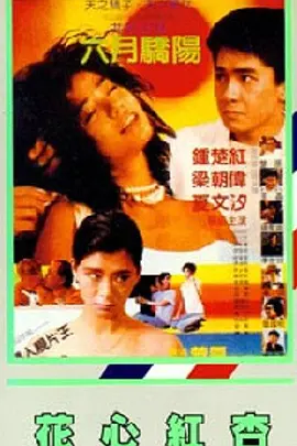 清风dj网站